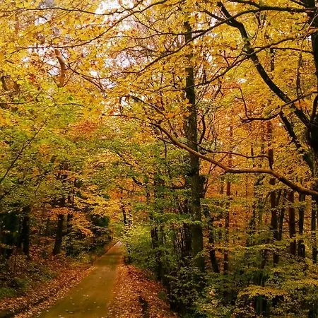 Forreset - Lesny Apartament, Sauna I Balia Jacuzzi 公寓 Gietrzwałd