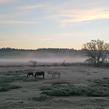 Forreset Esencja Natury - Z Opcja Sauny I Balii