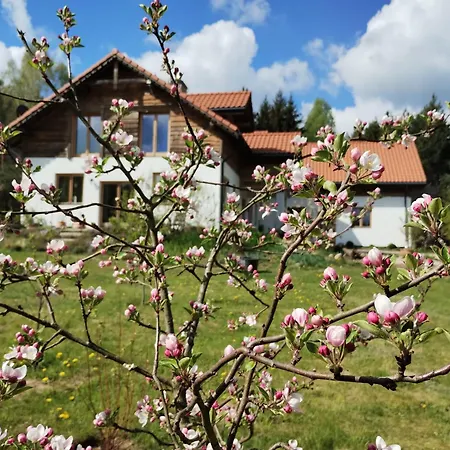 Forreset - Lesny Reset Апартаменты