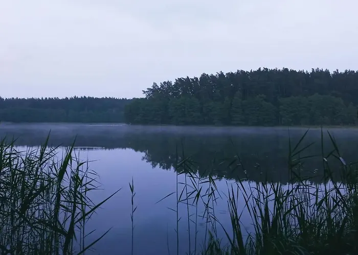 Forreset - Lesny Reset Gietrzwałd