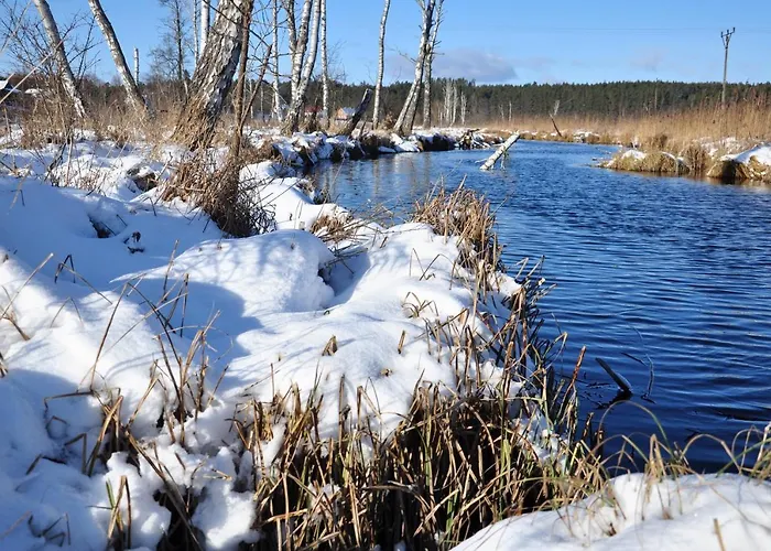 Forreset - Lesny Reset