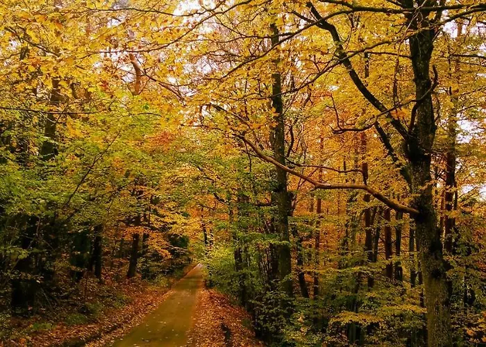 Forreset - Lesny Reset Апартаменты Гетшвалд