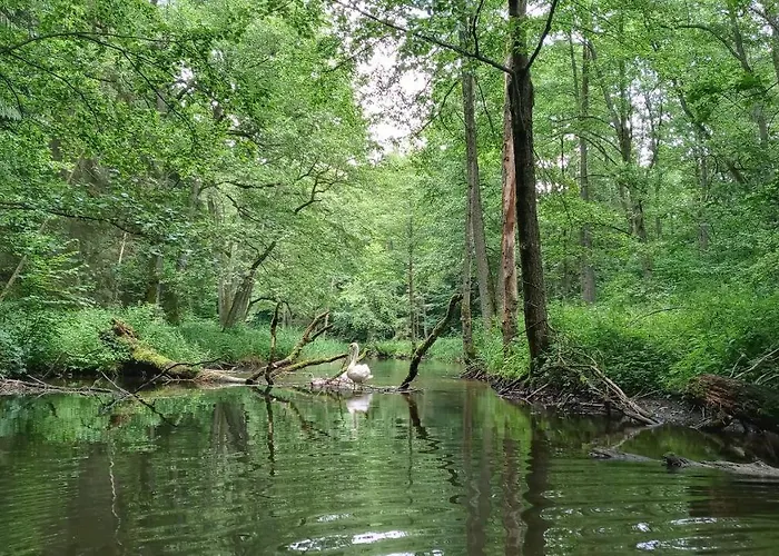 Forreset - Lesny Reset Апартаменты