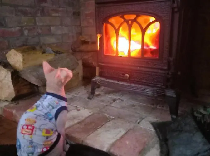 Forreset - Lesny Reset * Гетшвалд