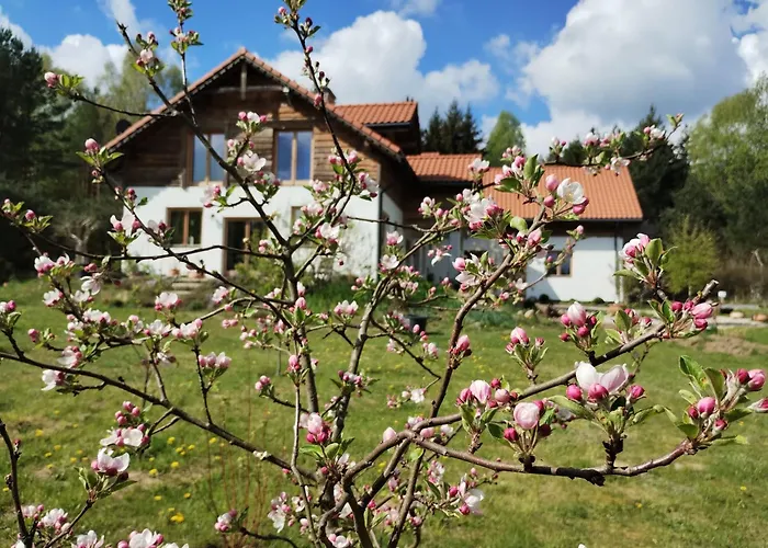 Forreset - Lesny Reset Апартаменты